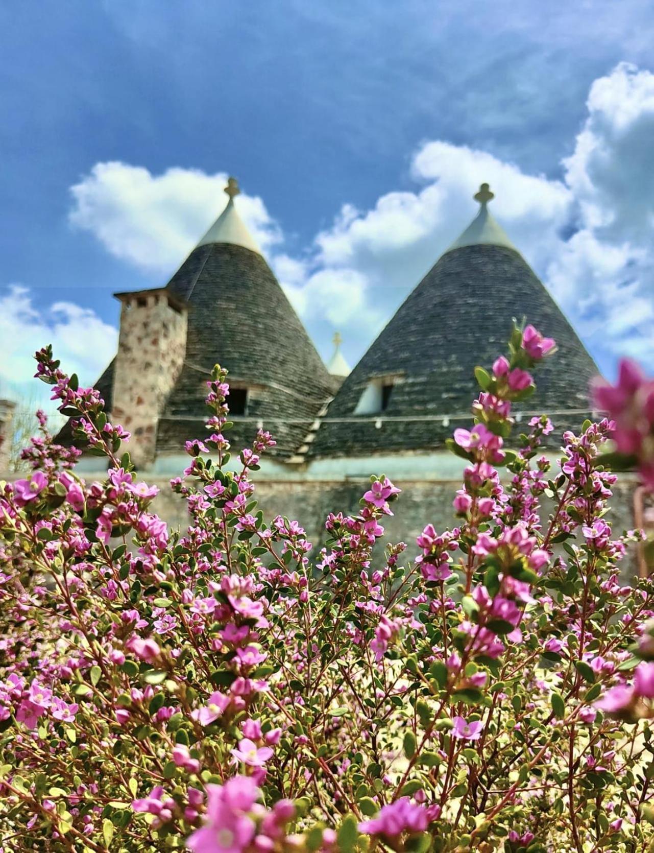 Trulli Allegretti نوتشي المظهر الخارجي الصورة